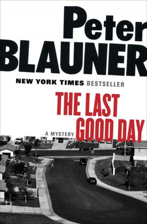 Cover of the book The Last Good Day by Julia Slavin