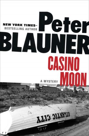 Cover of the book Casino Moon by William Hjortsberg