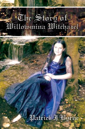 Cover of the book The Story of Willowmina Witchazel by Steve Baldwin