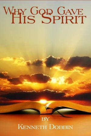 Book cover of Why God Gave His Spirit