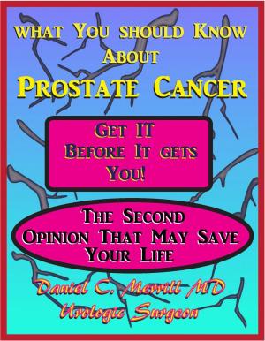 Cover of the book What You Should Know About Prostate Cancer by David Meade