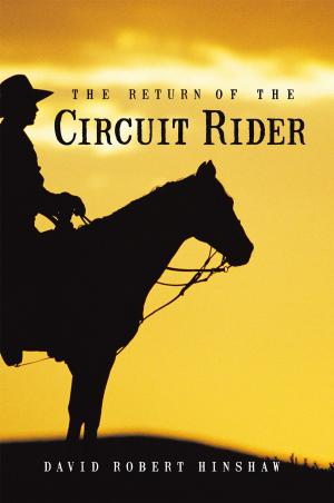Cover of the book The Return of the Circuit Rider by Michelle Fay