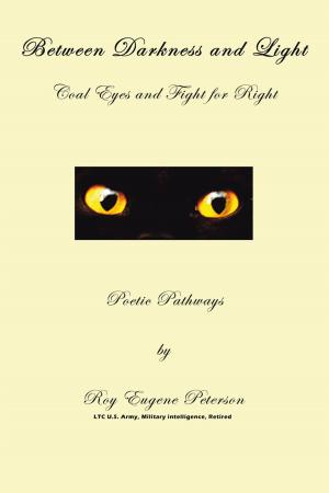 Book cover of Between Darkness and Light - Coal Eyes and Fight for Right