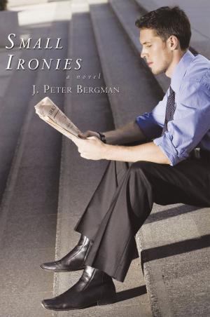 Cover of the book Small Ironies by J. Kathleen Cheney