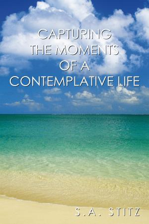 Book cover of Capturing the Moments of a Contemplative Life
