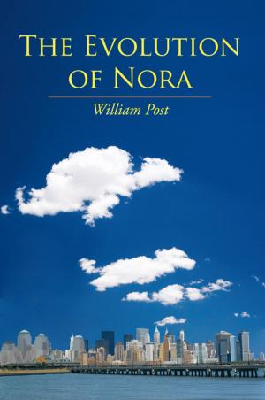 Cover of the book The Evolution of Nora by George Foxx