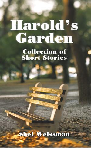 Cover of the book Harold's Garden by Paschal G. Aggrey