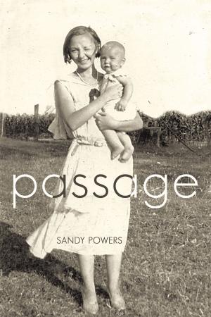 Cover of the book Passage by John Passfield