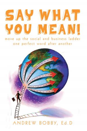 Cover of the book Say What You Mean! by Dr Declan Lyons