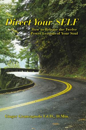 Cover of the book Direct Your Self by Susan Sherwood McCabe