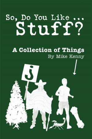 Book cover of So, Do You Like … Stuff?