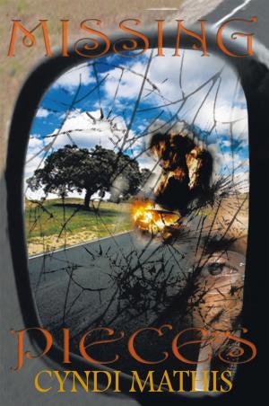 Cover of the book Missing Pieces by R. Neville Johnston