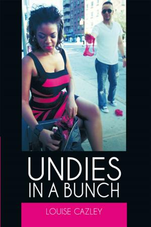 Cover of the book Undies in a Bunch by Jay Miller