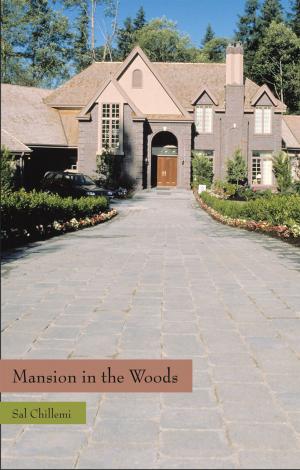 bigCover of the book Mansion in the Woods by 