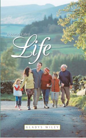 Cover of the book A Journey Called Life by Cheryl Freier