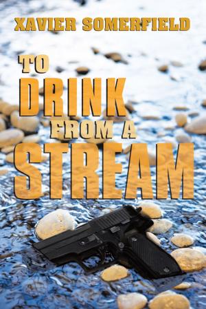Cover of the book To Drink from a Stream by Robert Jackson Bennett