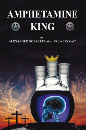 Cover of the book Amphetamine King by Janice Brown-Roberts
