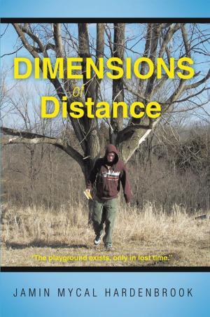 Cover of the book Dimensions of Distance by J.B. Willis
