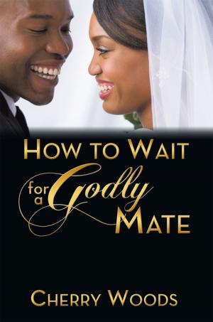 Cover of the book How to Wait for a Godly Mate by Joseph H. Casey S.J.