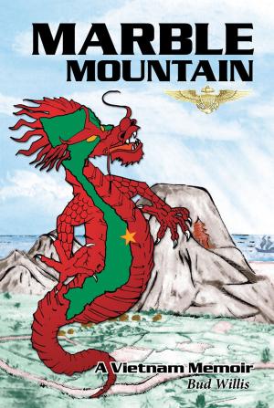 Cover of the book Marble Mountain by James Kyle Brown