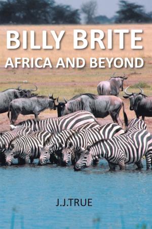 Cover of the book Billy Brite by Fenella Stevensen