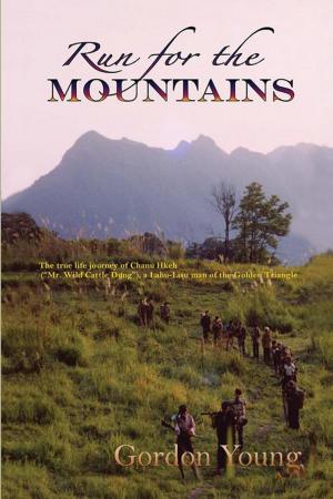 Book cover of Run for the Mountains