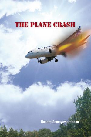 Cover of the book The Plane Crash by Jan Notzon