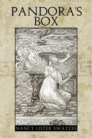 Cover of the book Pandora's Box by OLUSOLA AYODELE AREOGUN