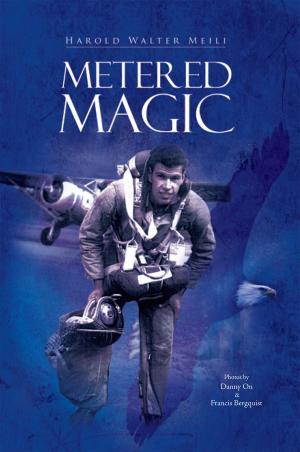 bigCover of the book Metered Magic by 