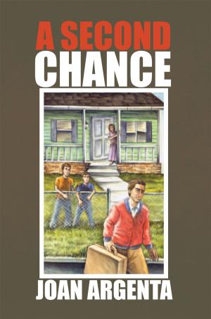 Cover of the book A Second Chance by Terence J Henley