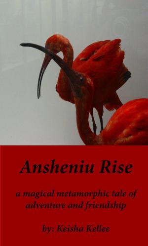 Book cover of Ansheniu Rise