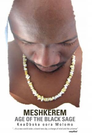 Cover of the book Meshkerem Age of the Black Sage by Gideon Itua Inetanbor