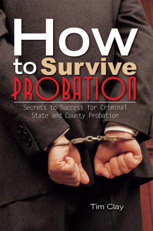Cover of the book How to Survive Probation by Dan Stultz