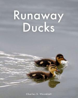 Cover of Runaway Ducks