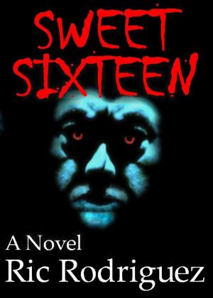 Cover of the book Sweet Sixteen by christopher david petersen