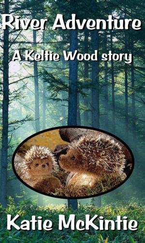Cover of River Adventure (A Keltie Wood story)