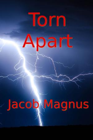 Cover of the book Torn Apart by Sophie Olsen
