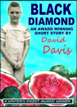 Cover of the book Black Diamond by David Burton