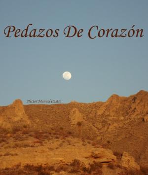 Cover of the book Pedazos de Corazón by P. V. LeForge