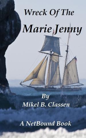 Book cover of Wreck of the Marie Jenny