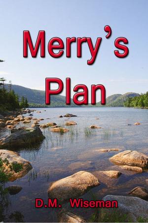 Book cover of Merry's Plan