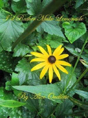 Cover of the book I'd Rather Make Lemonade by Euphonos