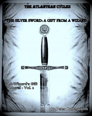 Cover of the book The Silver Sword: A Gift From A Wizard by Robert Day