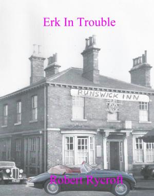Book cover of Erk In Trouble