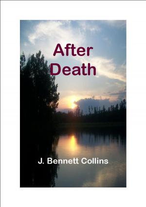 Cover of the book After Death by Dan Liebman