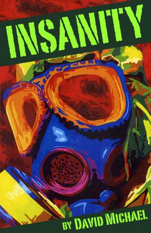 Cover of the book Insanity by Melissa Hayes
