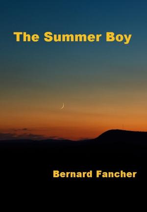 Book cover of The Summer Boy