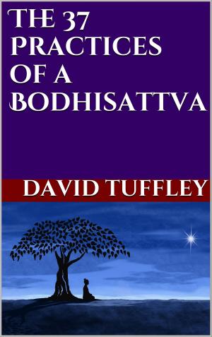 Book cover of The 37 Practices of a Bodhisattva