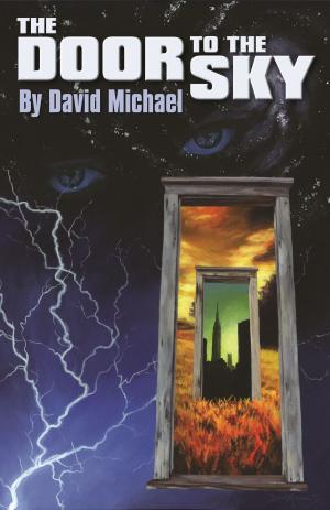 Book cover of The Door to the Sky