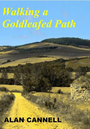 Cover of the book Walking a Goldleafed Path by Jane McBride